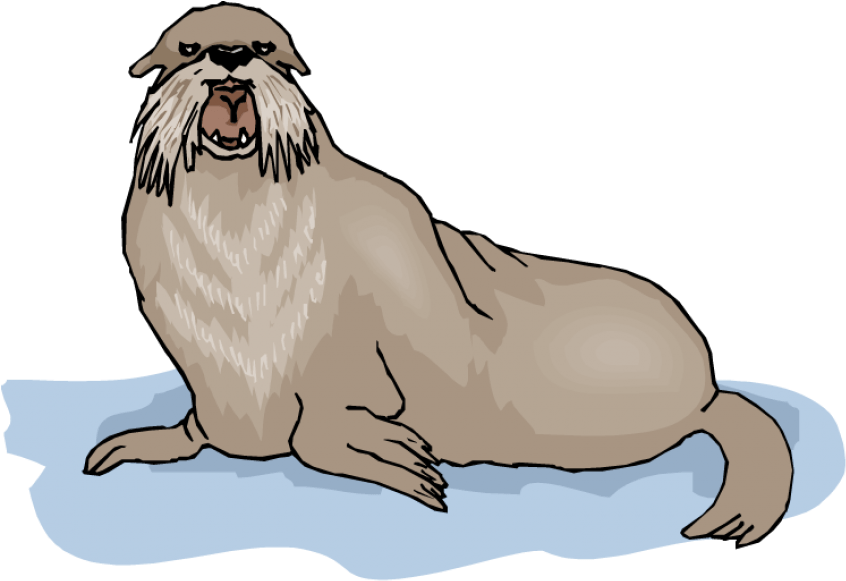 Free Png Walrus Background Png Png Images Transparent - Illustration (850x601), Png Download