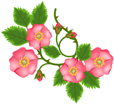Rose Tendril, Bush Rose, Entwine, Branch - Clipart Flower Jewelry Png (385x340), Png Download