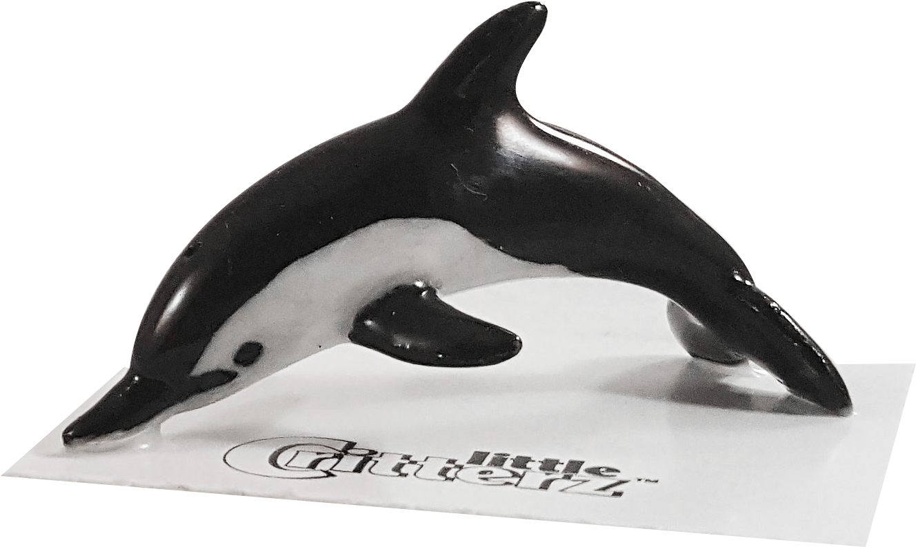 Bullet Common Dolphin Png Dolphin Bullet - Rough-toothed Dolphin (1488x1044), Png Download
