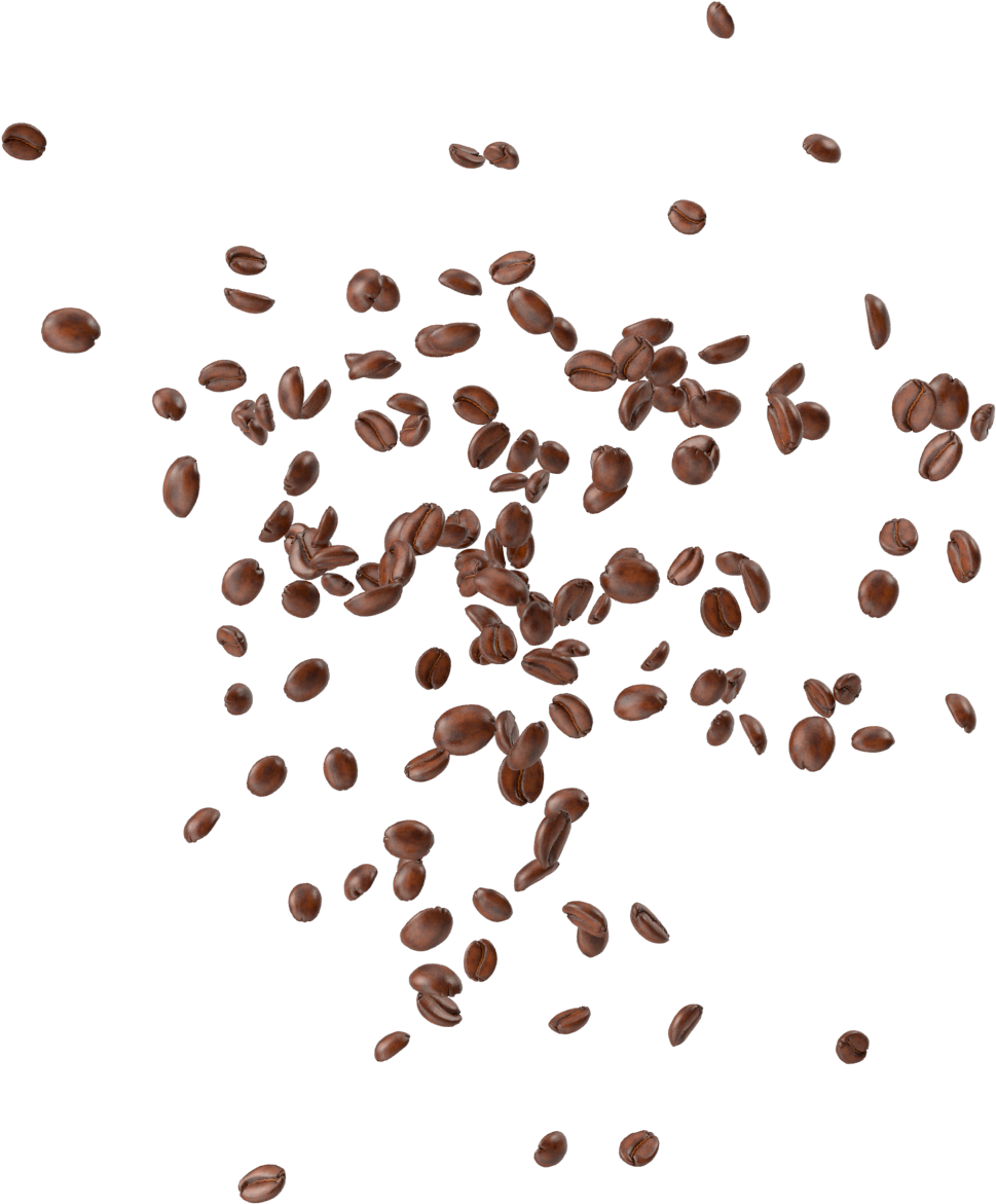 Coffee Beans Png Image Purepng Free Cc - Coffee Bean (2048x2048), Png Download