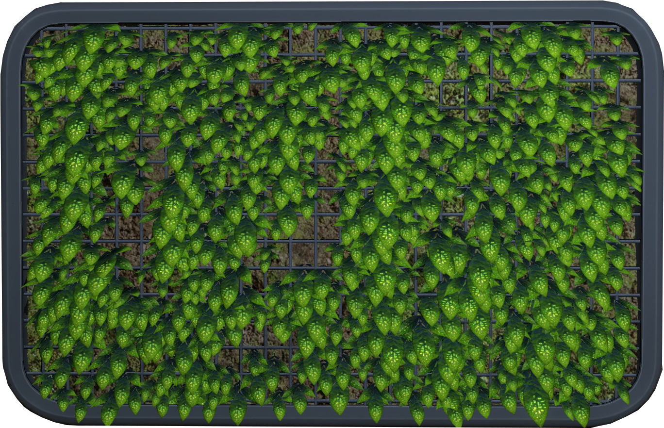 Abandoned Living Wall - Green Algae (1920x1080), Png Download