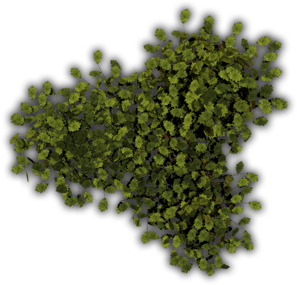 Dundjinni Mapping Software Forums Flora Updated Aug - Dundjinni Mapping Software Plants (596x566), Png Download