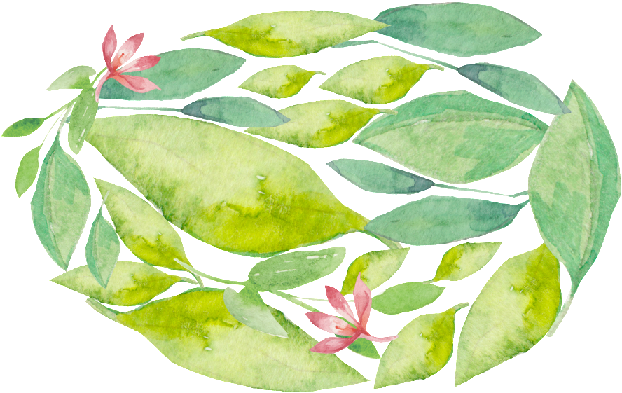 Fresh Green Plant Transparent Decorative - Portable Network Graphics (1024x692), Png Download