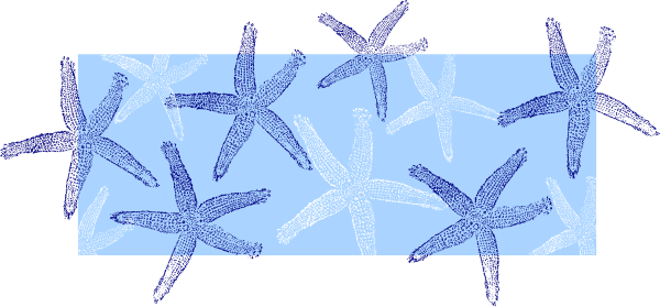 Free - Seashells Clipart Blue (600x279), Png Download