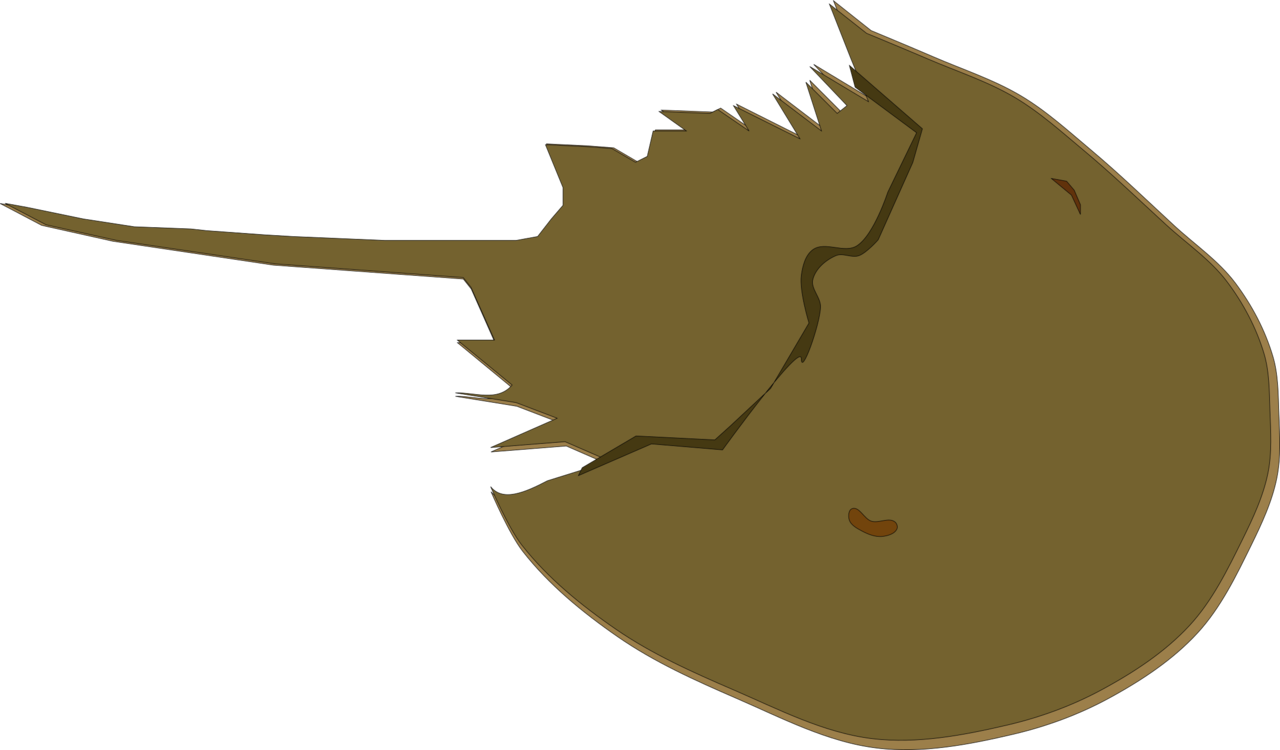 Horseshoe Crab Drawing Animal - Horseshoe Crab Clipart (1280x750), Png Download