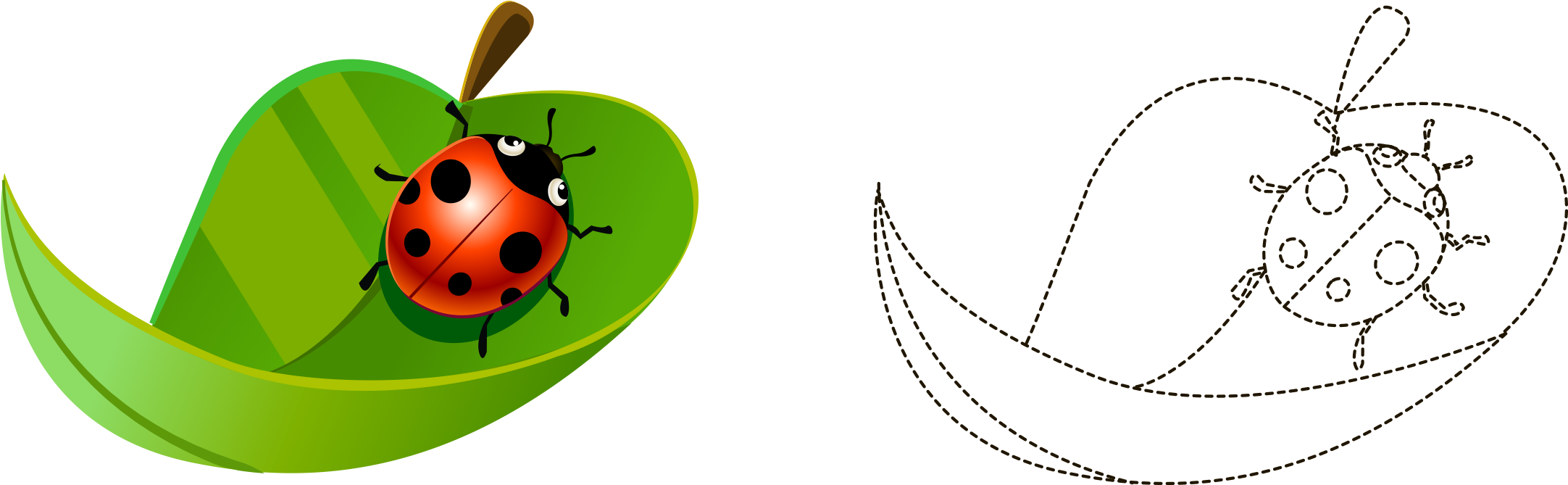 Coccinella Septempunctata Cartoon Painted Leaves Ladybird - Ladybird Beetle (2608x1242), Png Download