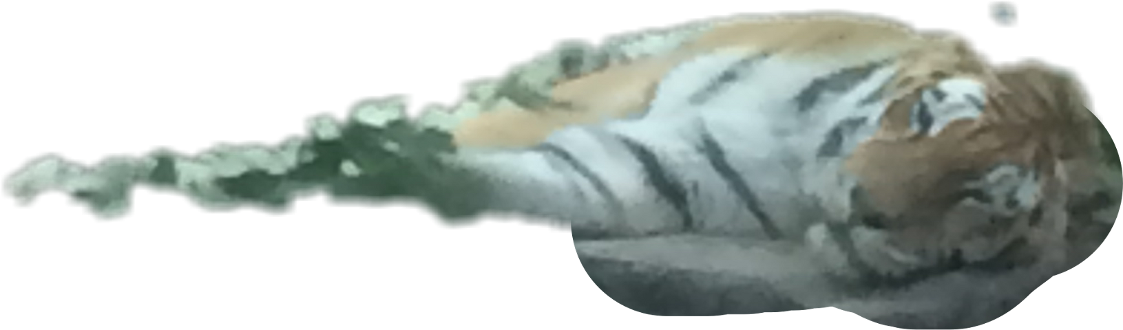Hand (1631x480), Png Download