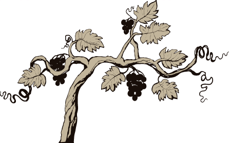 Vines - Portable Network Graphics (446x280), Png Download
