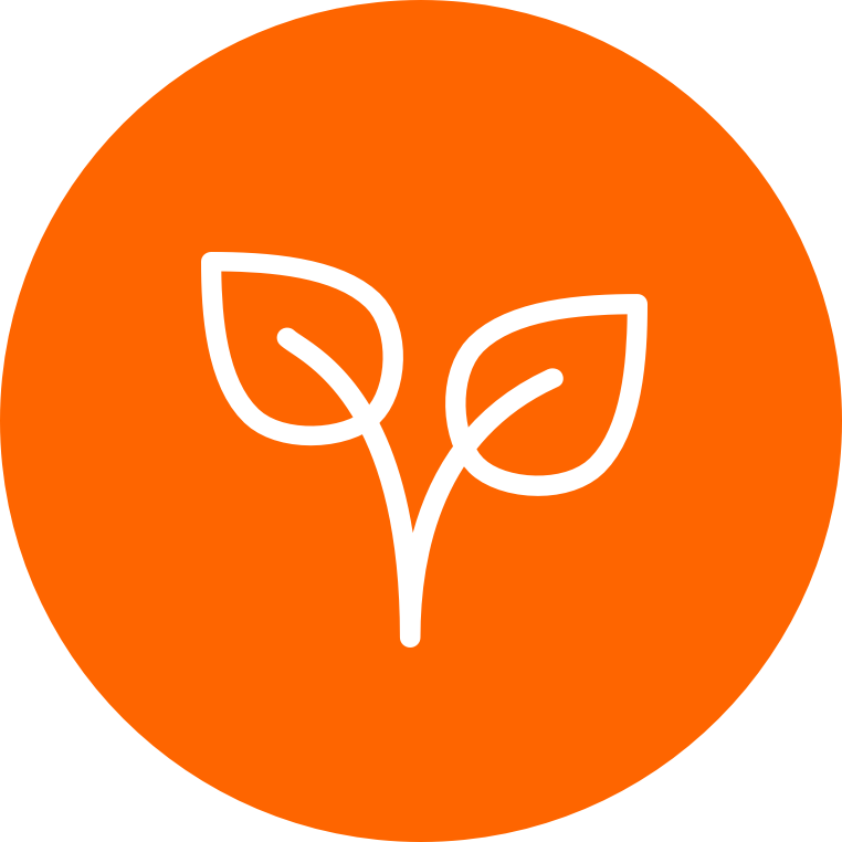Web Design Online Store Business Website Entrepreneur - New York Times App Icon (700x700), Png Download