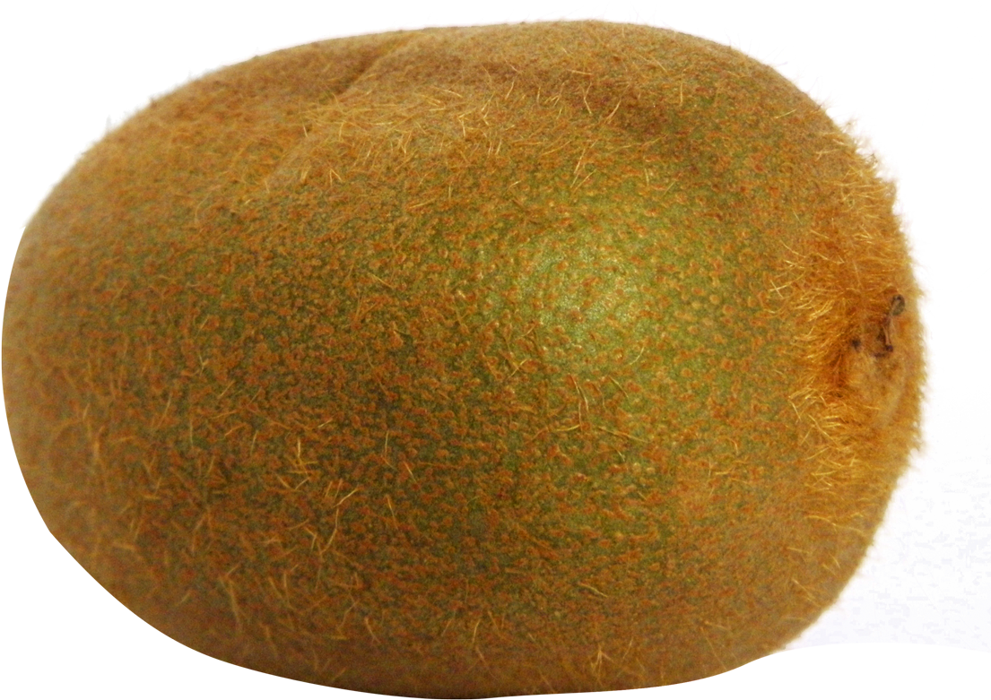 Kiwi Fruit Png File - Portable Network Graphics (1159x861), Png Download