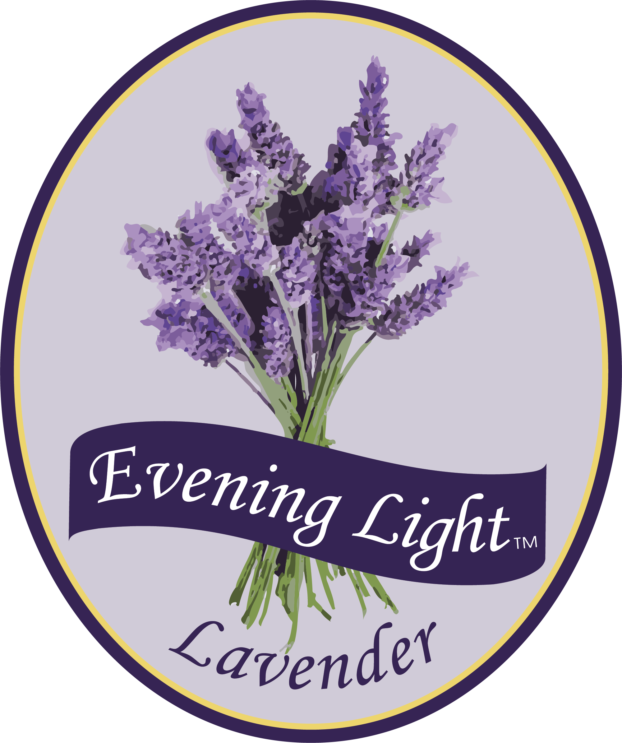 Cart - Purely Black - Lavender Essential Oil 100% Pure 100ml (2001x2389), Png Download
