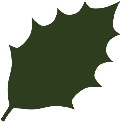 Download Holly Leaf Silhouette At Getdrawings Dark Green Leaves Clipart Full Size Png Image Pngkit