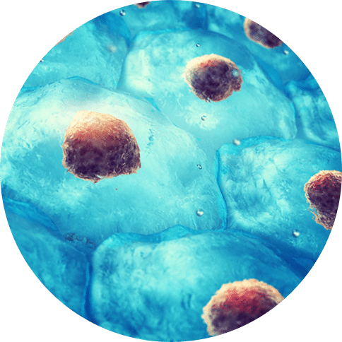 The Future Of Regenerative Medicine - Características De Los Seres Vivos Y Formas (484x484), Png Download