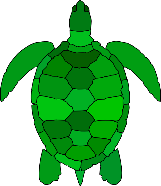 Turtle Clip Art At Clker - Green Sea Turtle Clipart (516x594), Png Download