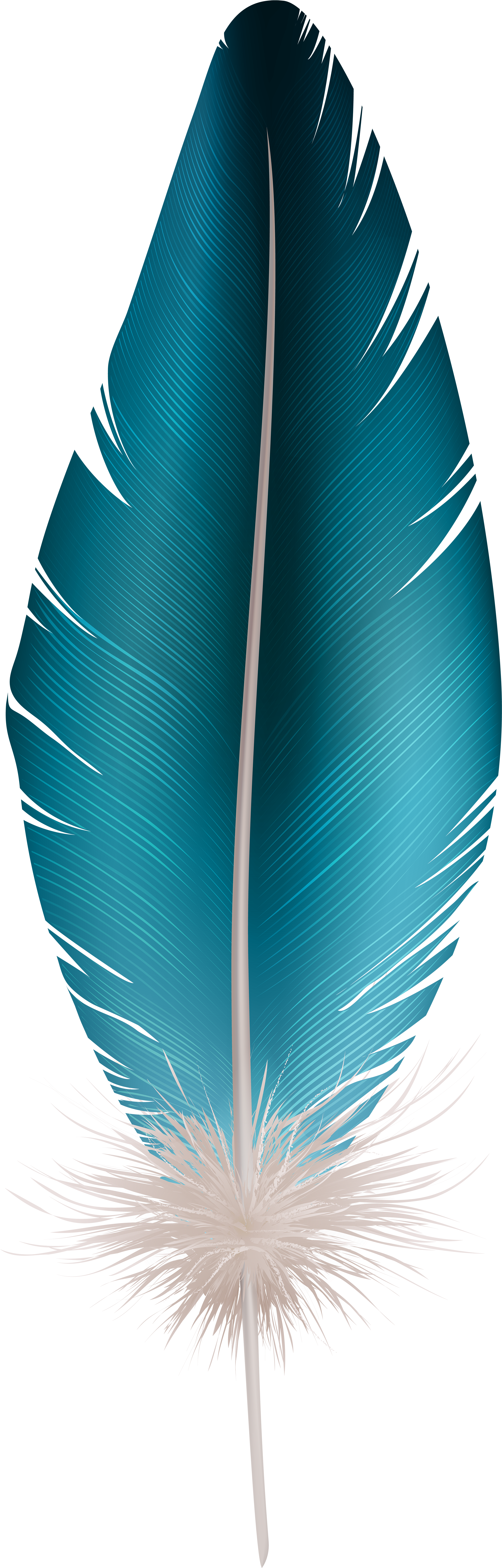 Feather Blue Clip Art Image Gallery Yopriceville High (2661x8000), Png Download