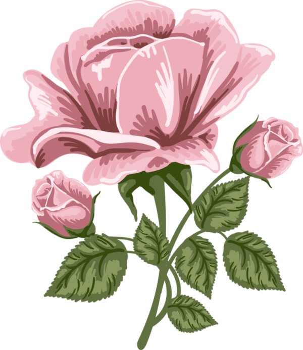 Pink Rose Art Png Picture - Pink Rose Art Png (600x693), Png Download