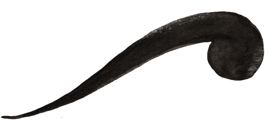 Black Blue Smoke Transparent Decorative - Black (1024x426), Png Download