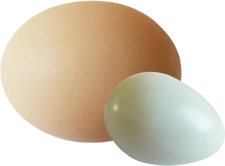 Eggs Png Transparent Image - Egg White (500x375), Png Download