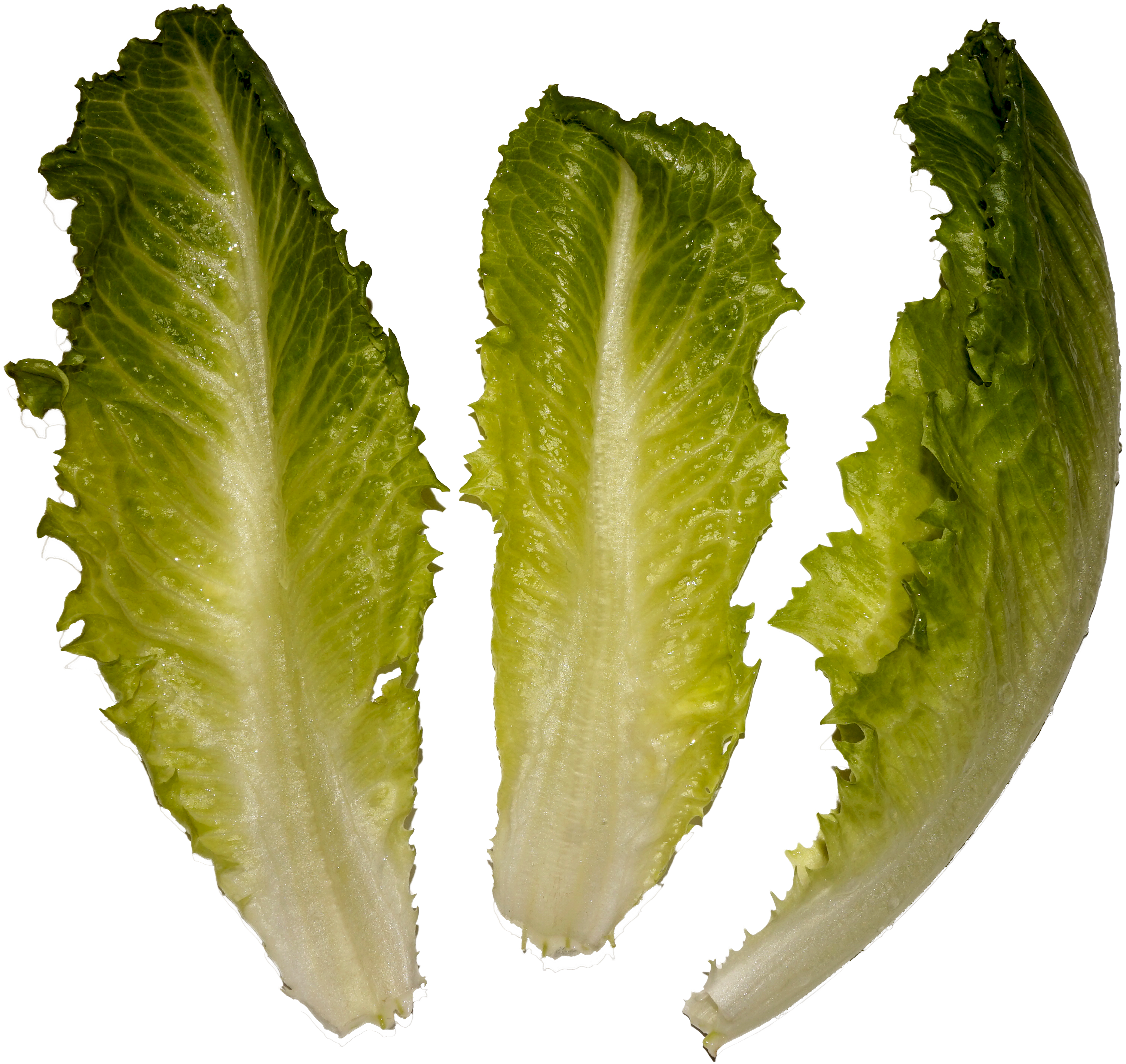 Cosmopolitan Salad (3088x2906), Png Download