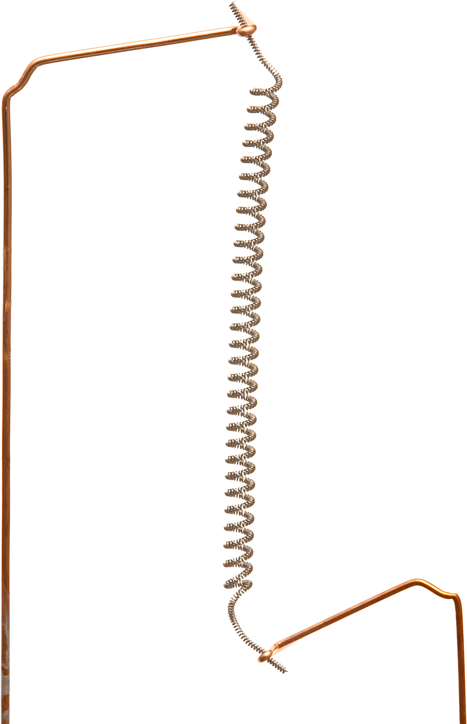 Lightbulb Filament - Light Bulb Filament Png (1904x2629), Png Download