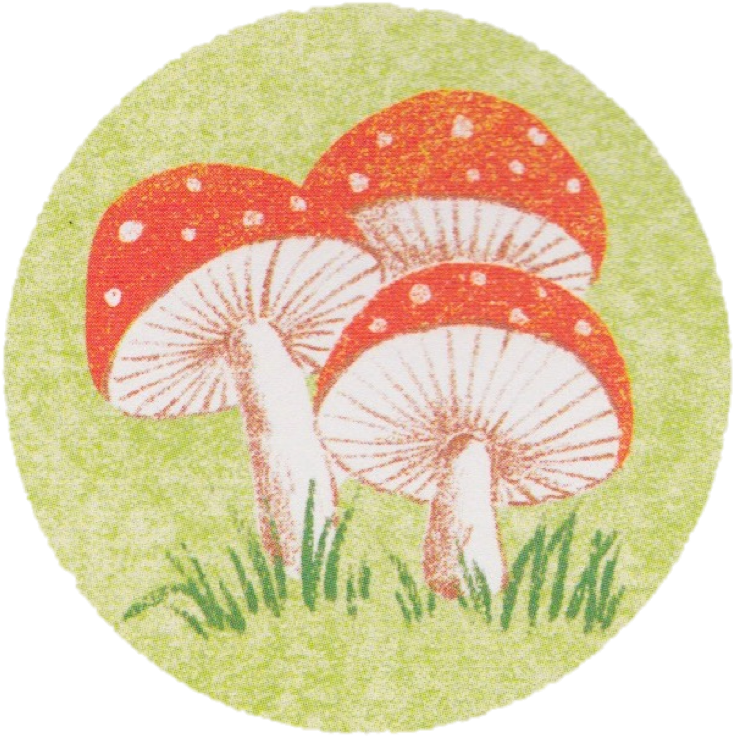 Celebrate Picture Books Picture Book Review Round Mushrooms - Portable Network Graphics (746x747), Png Download