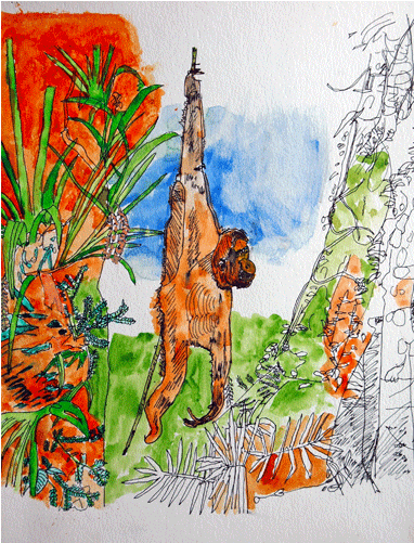 Watercolor Animal - Watercolor Painting (700x500), Png Download