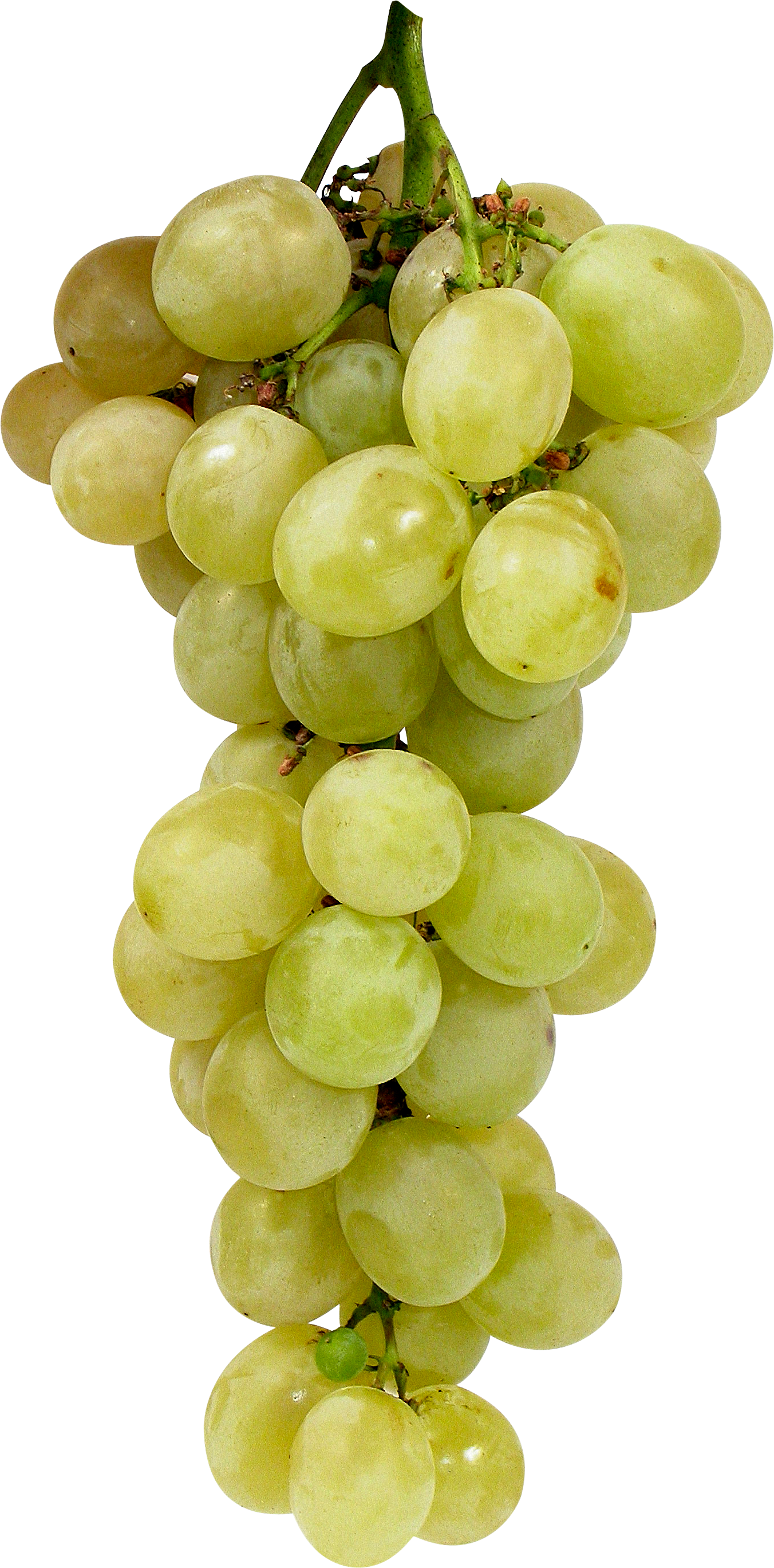 Green Grape Png Image - Green Grape Transparent (1352x2737), Png Download