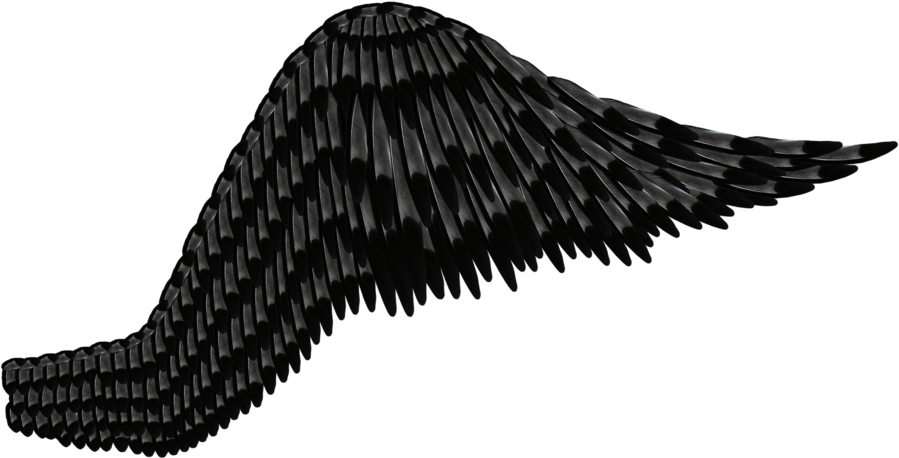 Transparent Download Feathered Black Gray By Thy Darkest - Black Angel Wing Transparent (900x465), Png Download