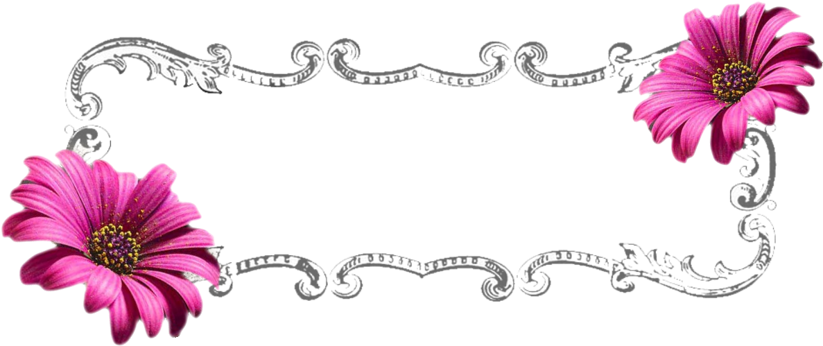 Floral Banner Png By Life As Me On Deviantart Clipart - Daisy (1240x588), Png Download