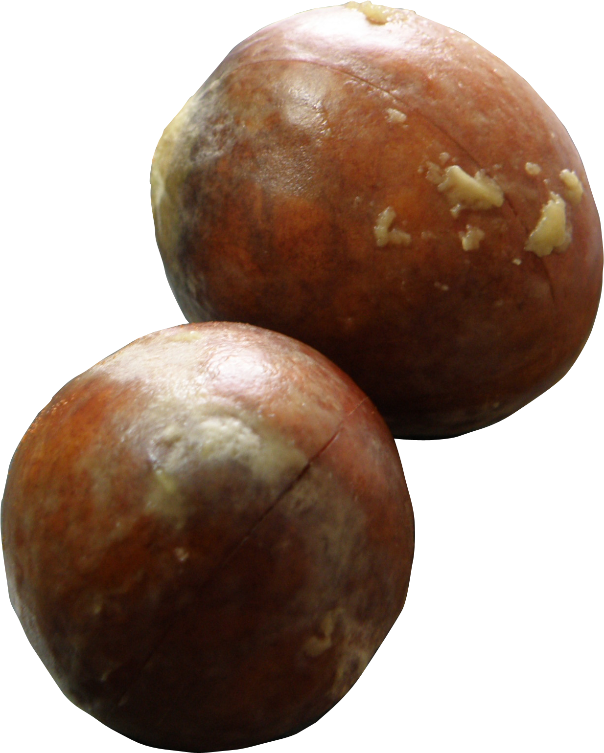Avocado Seeds - Avocado Seed Png (1506x1740), Png Download
