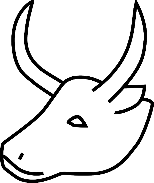 Horns Clipart Cow Horn - Horn Of Animals Drawing (539x640), Png Download