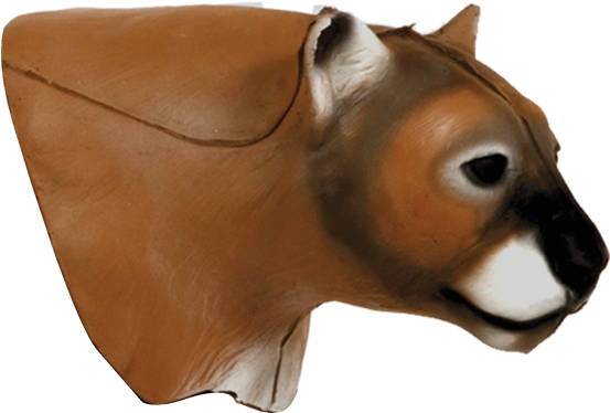 Mountain Lion Head - Mountain Lion Delta Mckenzie (600x600), Png Download