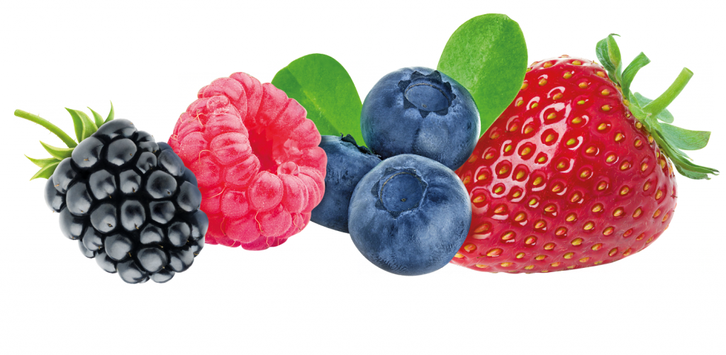 Svg Freeuse Stock Creamy Farmer S Yogurt Fruits Hollandia - Dolce Gusto - Bevanda Fragola Par 8 - Fabbri (1024x501), Png Download