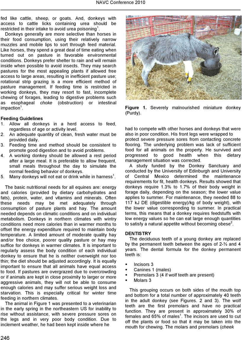 Herd Health For Donkeys-1 (1000x1294), Png Download