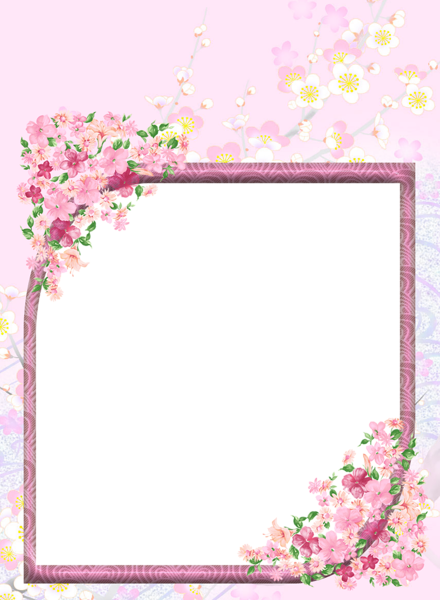 Paper Borders, Borders And Frames, Flower Picture Frames, - Gallery Yopriceville Com Frame (440x600), Png Download