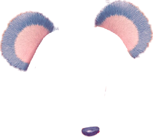 Snapchat Filtro Snap Panda Cara - Koala (488x437), Png Download