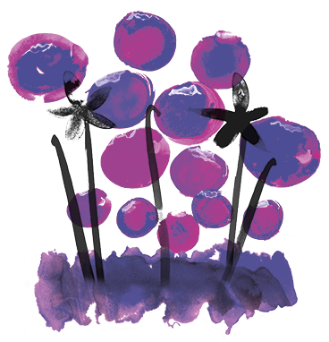 Poetry - Kallo Blueberry & Vanilla Wholegrain Low Fat Rice (368x382), Png Download
