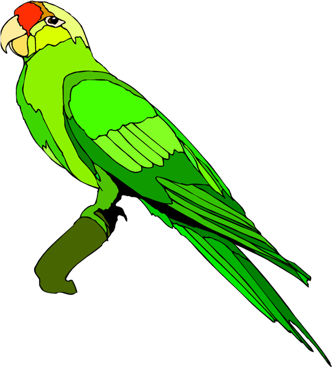 Drawing Alphabet Parrot Png Royalty Free Stock - Clip Art Images Parrot (679x750), Png Download