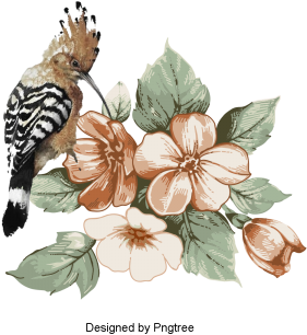 Hand Painted Flowers And Birds Design, Hand Painted, - Capinha Para Apple Iphone 7 Iphone 7 Plus Transparente (360x360), Png Download