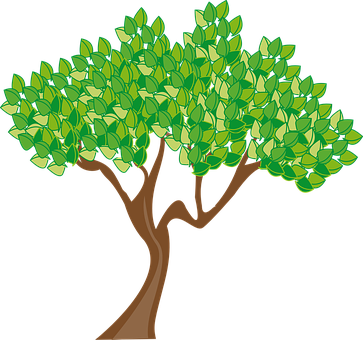 Season Summer Tree Leaves Green Trunk Wood - Cartoon Tree Transparent Background (363x340), Png Download