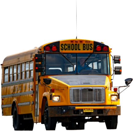 School (480x480), Png Download