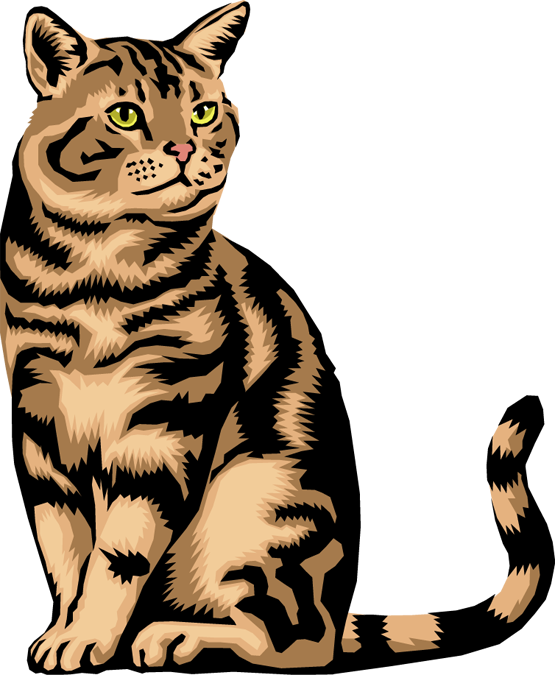 Tabby Cat Clipart Transparent - Animals Do Not Lay Eggs (555x675), Png Download