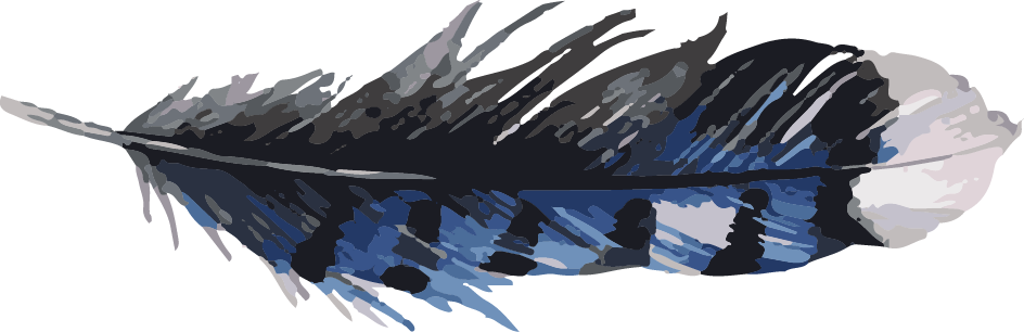 Bluejay-feather - Snow (944x306), Png Download
