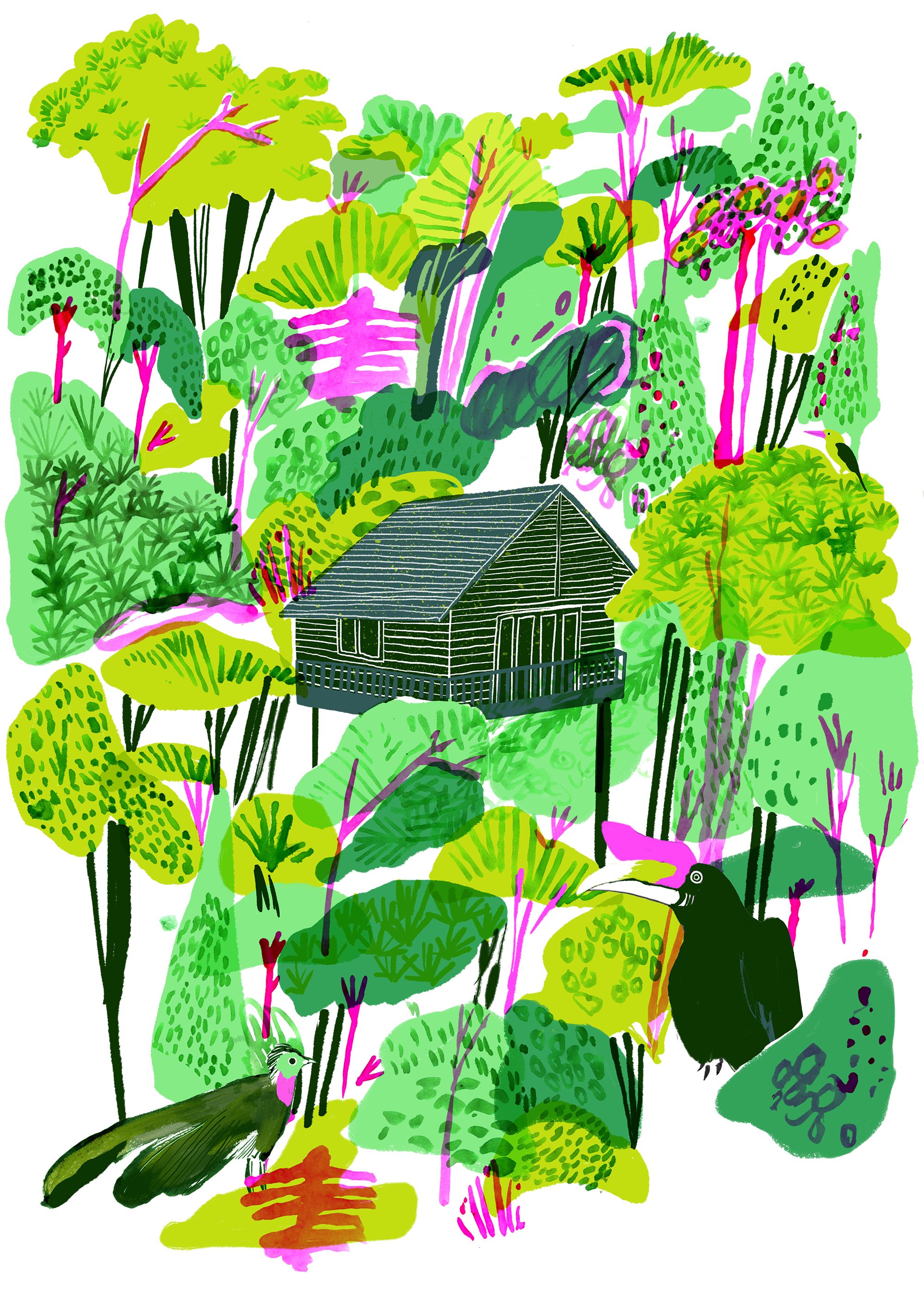 Jpg Library Stock Borneo Rainforest Hannahwarren Com - Borneo Lowland Rain Forest (2000x2828), Png Download