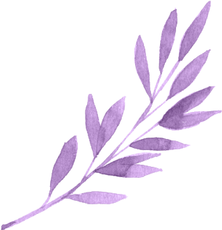 15 Aesthetic Png Transparent For Free Download On Mbtskoudsalg (350x365), Png Download