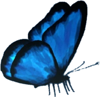 Download Butterfly Butterflyeffect Lifeisstrange Max Cloe Png Picsart Png Butterfly Full Size Png Image Pngkit