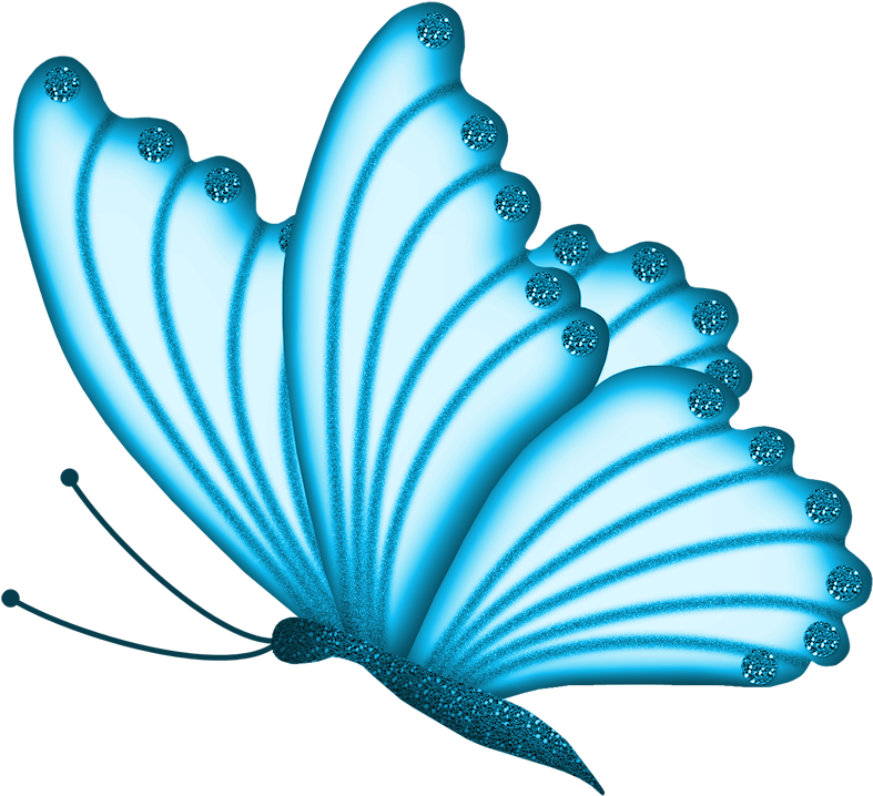 Beautiful Clipart Butterfly - Beautiful Butterfly Clip Art (800x735), Png Download