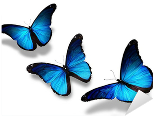 Three Blue Butterflies Flying, Isolated On White Sticker - 3 Butterflies Flying Together (400x400), Png Download