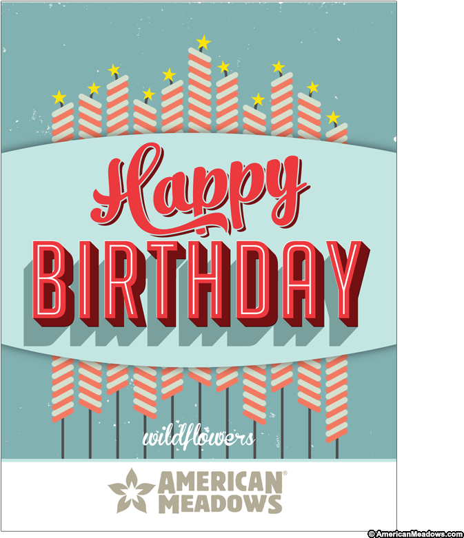 Happy Birthday Seed Packet - American Meadows (800x800), Png Download