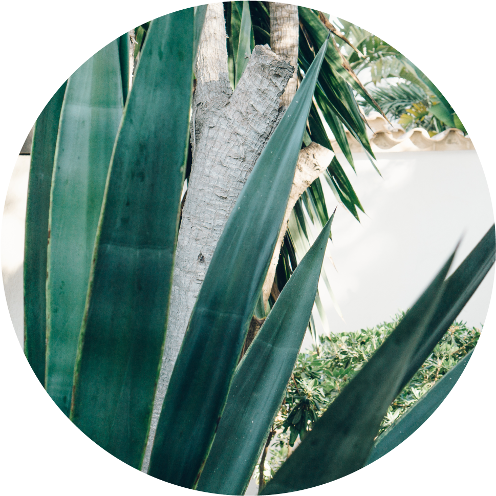 Circle5 - Photography (1000x1000), Png Download